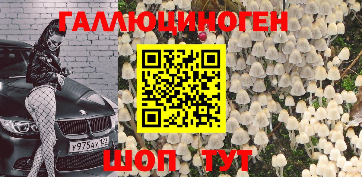 наркотики  Псилоцибиновые грибы Psilocybine cubensis  Вход с VPN  Галлюциногенные грибы Psilocybe  Пыть-Ях 