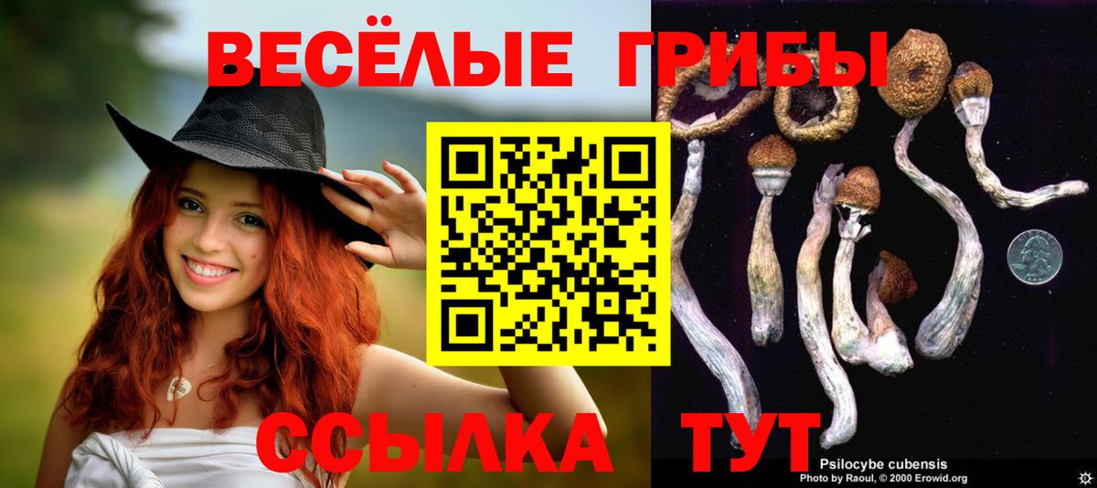 Галлюциногенные грибы MAGIC MUSHROOMS Пыть-Ях